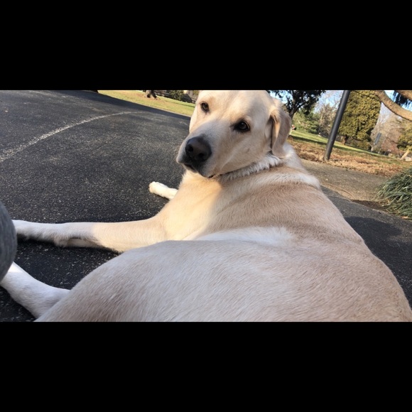 Meet your Posher, Kelly - Picture 1 of 1